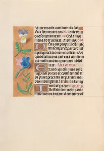 Stunden der Königin Isabella der Katholischen, Königin von Spanien: Fol. 216v, um 1500 von Master of the First Prayerbook of Maximillian