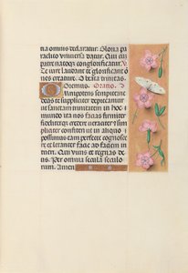 Stundenbuch der Königin Isabella der Katholischen, Königin von Spanien: Fol. 21r, ca. 1500