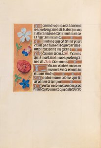 Stundenbuch der Königin Isabella der Katholischen, Königin von Spanien: Fol. 221v