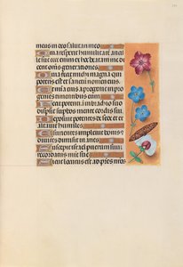 Stundenbuch der Königin Isabella der Katholischen, Königin von Spanien: Fol. 224r, um 1500