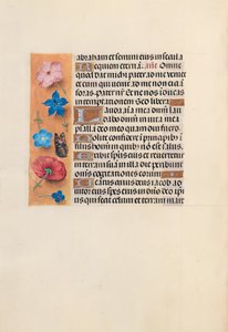 Stundenbuch der Königin Isabella der Katholischen, Königin von Spanien: Fol. 224v, um 1500 von Master of the First Prayerbook of Maximillian