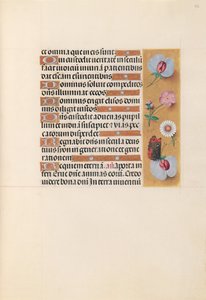 Stundenbuch der Königin Isabella der Katholischen, Königin von Spanien: Fol. 225r, um 1500