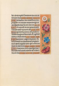 Stundenbuch der Königin Isabella die Katholische, Königin von Spanien: Fol. 228r, ca. 1500