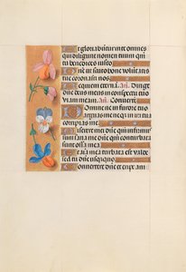Stundenbuch der Königin Isabella der Katholischen, Königin von Spanien: Fol. 228v, ca. 1500 von Master of the First Prayerbook of Maximillian