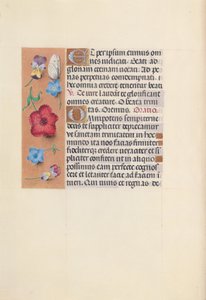 Stundenbuch der Königin Isabella der Katholischen, Königin von Spanien: Fol. 22v von Master of the First Prayerbook of Maximillian