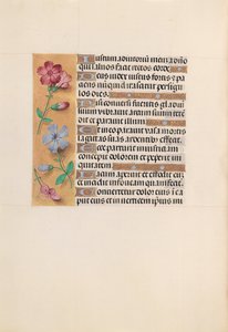 Stundenbuch der Königin Isabella der Katholischen, Königin von Spanien: Fol. 230v, um 1500 von Master of the First Prayerbook of Maximillian