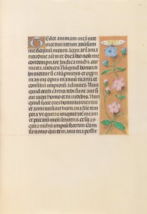 Stunden der Königin Isabella der Katholischen, Königin von Spanien: Fol. 232r von Master of the First Prayerbook of Maximillian