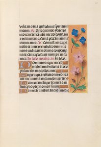 Stundenbuch der Königin Isabella der Katholischen, Königin von Spanien: Fol. 233r von Master of the First Prayerbook of Maximillian
