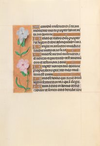 Stundenbuch der Königin Isabella die Katholische, Königin von Spanien: Fol. 234v von Master of the First Prayerbook of Maximillian