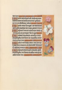 Stundenbuch der Königin Isabella der Katholischen, Königin von Spanien: Fol. 235r, ca. 1500