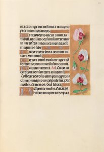 Stundenbuch der Königin Isabella die Katholische, Königin von Spanien: Fol. 237r, ca. 1500 von Master of the First Prayerbook of Maximillian