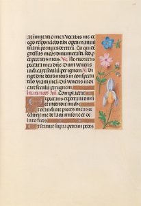 Stundenbuch der Königin Isabella die Katholische, Königin von Spanien: Fol. 239r, ca. 1500 von Master of the First Prayerbook of Maximillian