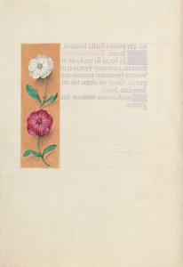 Stundenbuch der Königin Isabella die Katholische, Königin von Spanien: Fol. 23v, ca. 1500 von Master of the First Prayerbook of Maximillian