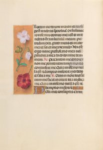 Stundenbuch der Königin Isabella der Katholischen, Königin von Spanien: Fol. 244v, ca. 1500 von Master of the First Prayerbook of Maximillian