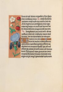 Stundenbuch von Königin Isabella der Katholischen, Königin von Spanien: Fol. 245v, ca. 1500