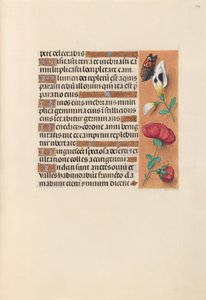 Stundenbuch der Königin Isabella der Katholischen, Königin von Spanien: Fol. 249r