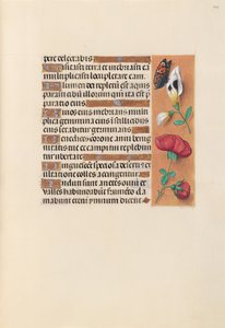 Stunden der Königin Isabella der Katholischen, Königin von Spanien: Fol. 249r, um 1500