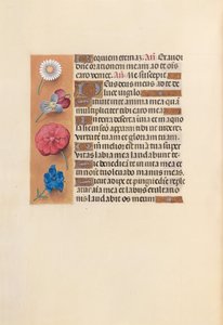 Stundenbuch der Königin Isabella der Katholischen, Königin von Spanien: Fol. 249v, ca. 1500