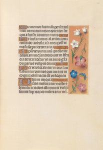 Stundenbuch der Königin Isabella der Katholischen, Königin von Spanien: Fol. 250r, ca. 1500