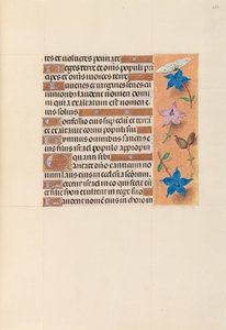 Stundenbuch der Königin Isabella die Katholische, Königin von Spanien: Fol. 253r, um 1500