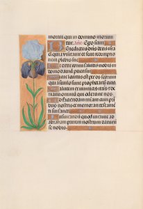 Stundenbuch der Königin Isabella der Katholischen, Königin von Spanien: Fol. 254v, um 1500
