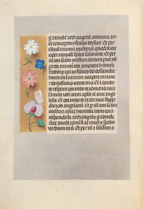 Stundenbuch der Königin Isabella die Katholische, Königin von Spanien: Fol. 258v, um 1500