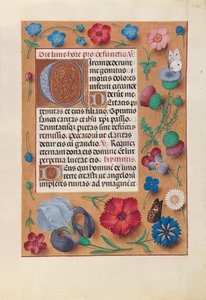 Stundenbuch der Königin Isabella der Katholischen, Königin von Spanien: Fol. 25r