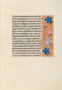 Stundenbuch der Königin Isabella die Katholische, Königin von Spanien: Fol. 260r, ca. 1500 von Master of the First Prayerbook of Maximillian