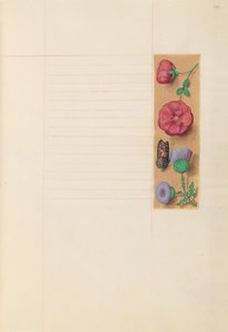 Stunden der Königin Isabella der Katholischen, Königin von Spanien: Fol. 270r