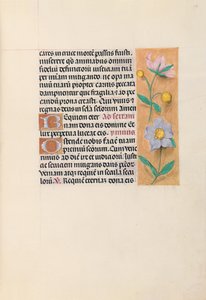 Stundenbuch der Königin Isabella der Katholischen, Königin von Spanien: Fol. 27r, um 1500. von Master of the First Prayerbook of Maximillian