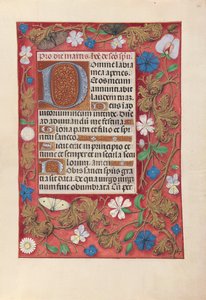 Stundenbuch der Königin Isabella die Katholische, Königin von Spanien: Fol. 32r, um 1500 von Master of the First Prayerbook of Maximillian