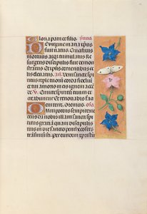 Stundenbuch der Königin Isabella der Katholischen, Königin von Spanien: Fol. 33r