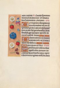 Stundenbuch der Königin Isabella der Katholischen, Königin von Spanien: Fol. 34v, um 1500 von Master of the First Prayerbook of Maximillian