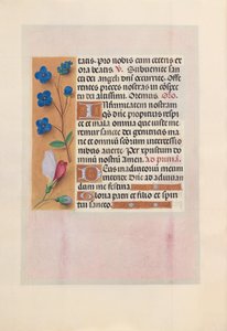 Stundenbuch der Königin Isabella der Katholischen, Königin von Spanien: Fol. 38v von Master of the First Prayerbook of Maximillian