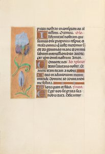 Stundenbuch der Königin Isabella der Katholischen, Königin von Spanien: Fol. 41v, ca. 1500 von Master of the First Prayerbook of Maximillian