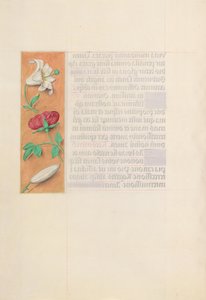 Stundenbuch der Königin Isabella der Katholischen, Königin von Spanien: Fol. 42v, um 1500 von Master of the First Prayerbook of Maximillian