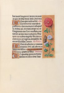 Stundenbuch der Königin Isabella der Katholischen, Königin von Spanien: Fol. 46r