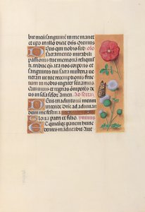 Stundenbuch der Königin Isabella der Katholischen, Königin von Spanien: Fol. 46r, ca. 1500