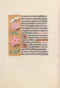 Stundenbuch der Königin Isabella der Katholischen, Königin von Spanien: Fol. 47v, ca. 1500 von Master of the First Prayerbook of Maximillian