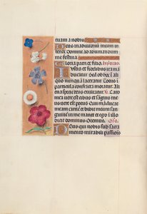 Stundenbuch der Königin Isabella die Katholische, Königin von Spanien: Fol. 48v, um 1500 von Master of the First Prayerbook of Maximillian