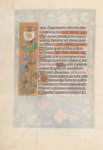 Stundenbuch der Königin Isabella der Katholischen, Königin von Spanien: Fol. 50v, ca. 1500 von Master of the First Prayerbook of Maximillian