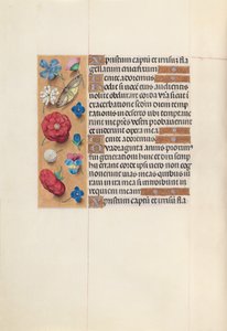 Stundenbuch der Königin Isabella der Katholischen, Königin von Spanien: Fol. 51v, ca. 1500 von Master of the First Prayerbook of Maximillian