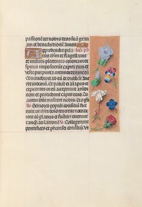 Stundenbuch der Königin Isabella der Katholischen, Königin von Spanien: Fol. 54r von Master of the First Prayerbook of Maximillian