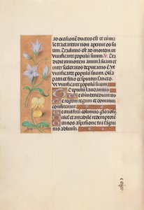 Stundenbuch der Königin Isabella der Katholischen, Königin von Spanien: Fol. 55v, ca. 1500