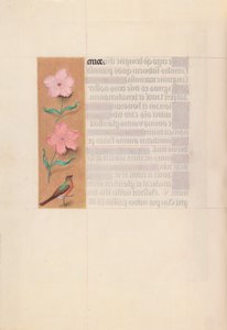 Stundenbuch der Königin Isabella der Katholischen, Königin von Spanien: Fol. 56v von Master of the First Prayerbook of Maximillian