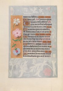 Stundenbuch der Königin Isabella der Katholischen, Königin von Spanien: Fol. 57v von Master of the First Prayerbook of Maximillian