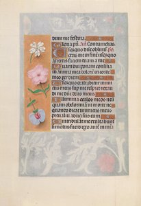 Stundenbuch der Königin Isabella der Katholischen, Königin von Spanien: Fol. 57v, ca. 1500 von Master of the First Prayerbook of Maximillian