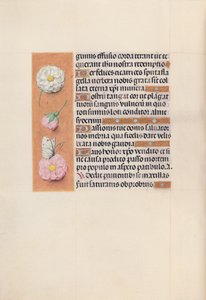 Stundenbuch der Königin Isabella der Katholischen, Königin von Spanien: Fol. 58v, ca. 1500