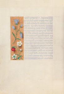 Stundenbuch der Königin Isabella der Katholischen, Königin von Spanien: Fol. 60v, um 1500 von Master of the First Prayerbook of Maximillian