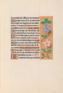 Stundenbuch der Königin Isabella die Katholische, Königin von Spanien: Fol. 62r, ca. 1500 von Master of the First Prayerbook of Maximillian